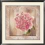 Pivoines Ii by Selina Werbelow Limited Edition Print