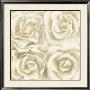 Four White Roses by Mar Alonso Limited Edition Pricing Art Print