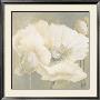 Poppy In White Ii by Jettie Roseboom Limited Edition Pricing Art Print