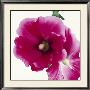 Pink Hollyhock I by Stephanie Andrew Limited Edition Print