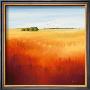 Red Fields Ii by Hans Paus Limited Edition Print