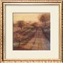 Vineyard Vista by Paul Mathenia Limited Edition Print