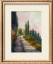 Santa Lucia by Alan Stephenson Limited Edition Print