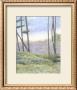 Tranquil Horizon Ii by Virginia A. Roper Limited Edition Print