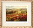Red Poppy Panorama by Roberto Lombardi Limited Edition Print