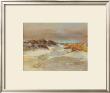 Shore Patterns by Fred Macneill Limited Edition Pricing Art Print