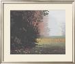 Montlake Fog by Marc Bohne Limited Edition Print