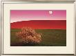 Palouse Hills by Daryl Benson Limited Edition Print