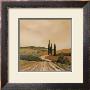 Shady Tuscan Fields by J. Clark Limited Edition Print