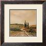 Shady Tuscan Fields by J. Clark Limited Edition Print