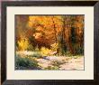 Road Less Traveled by Phyllis Horne Limited Edition Print
