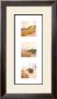 Beach Trio I by Judy Mandolf Limited Edition Print