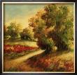 Autumn Scenery Ii by Patricia Ivanov Limited Edition Print