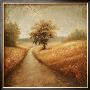 Cinnamon Road I by Michael Marcon Limited Edition Print