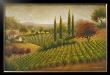 Vineyard In The Sun I by Michael Marcon Limited Edition Pricing Art Print