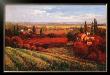 Tuscan Fields Of Red by Matt Thomas Limited Edition Print