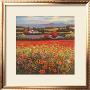 Poppy Pastures I by T. C. Chiu Limited Edition Print