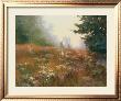 Septembers Wild Asters by Elizabeth Mowry Limited Edition Print