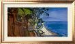 Butterfly Beach by Hank Pitcher Limited Edition Print
