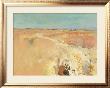 Autumn Is Coming by Jan Groenhart Limited Edition Pricing Art Print