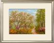 Waldweg In Der Sonne by Heinz Scholnhammer Limited Edition Pricing Art Print