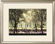 Picnic In Sonoma by Candace Tisch Limited Edition Print