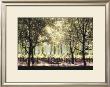 Picnic In Sonoma by Candace Tisch Limited Edition Print