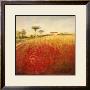 Poppies by Ken Hildrew Limited Edition Print