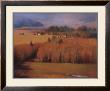 Valley View by Ramona Youngquist Limited Edition Print