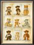 Ours De Collection by Joelle Wolff Limited Edition Print