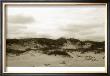 Ocracoke Dune Study Iii by Jason Johnson Limited Edition Pricing Art Print