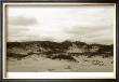 Ocracoke Dune Study Iii by Jason Johnson Limited Edition Print