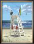 Pelican Perch by Scott Westmoreland Limited Edition Print