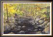 Autumn Brook by Joe Terrone Limited Edition Pricing Art Print