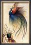 Out Of The Fire by Warwick Goble Limited Edition Pricing Art Print