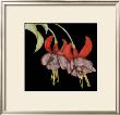 Graphic Fuchsia Ii by Jennifer Goldberger Limited Edition Pricing Art Print