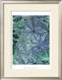 Woodland Plants In Blue Iv by Sharon Chandler Limited Edition Print