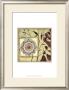 Printed Moonlit Rosette Ii by Jennifer Goldberger Limited Edition Pricing Art Print