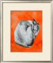 Orange Squash by Sarah Adams Limited Edition Pricing Art Print