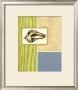 Seaside Shells I by Jennifer Goldberger Limited Edition Pricing Art Print