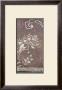 Pewter Decor by Linza Bouchet Limited Edition Print