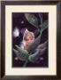 Milkweed Imp by Dale Ziemianski Limited Edition Print