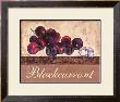 Blackcurrant by Steff Green Limited Edition Print