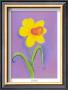 Daffodil by Dona Turner Limited Edition Pricing Art Print