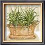 Fern Tub by Charlene Winter Olson Limited Edition Pricing Art Print