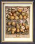 Fruits Of The Season, Spring by Robert Furber Limited Edition Print