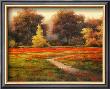 Poppy Meadows I by T. C. Chiu Limited Edition Print