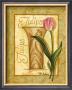 Triumph Tulip by Pat Cockerell Limited Edition Pricing Art Print