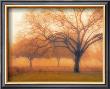 Memory Of Trees by M. Ellen Cocose Limited Edition Pricing Art Print