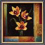 Yellow Orchids by Jill Deveraux Limited Edition Print